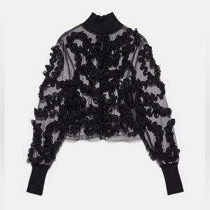 Chic Zara Black Ruffle Sheer Blouse